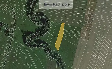 Prodej louky 2 322 m², Borovy, okres Plzeň-Jih
