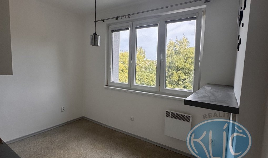 Pronájem bytu 3+1 64 m², Tábor – náhled fotky 10