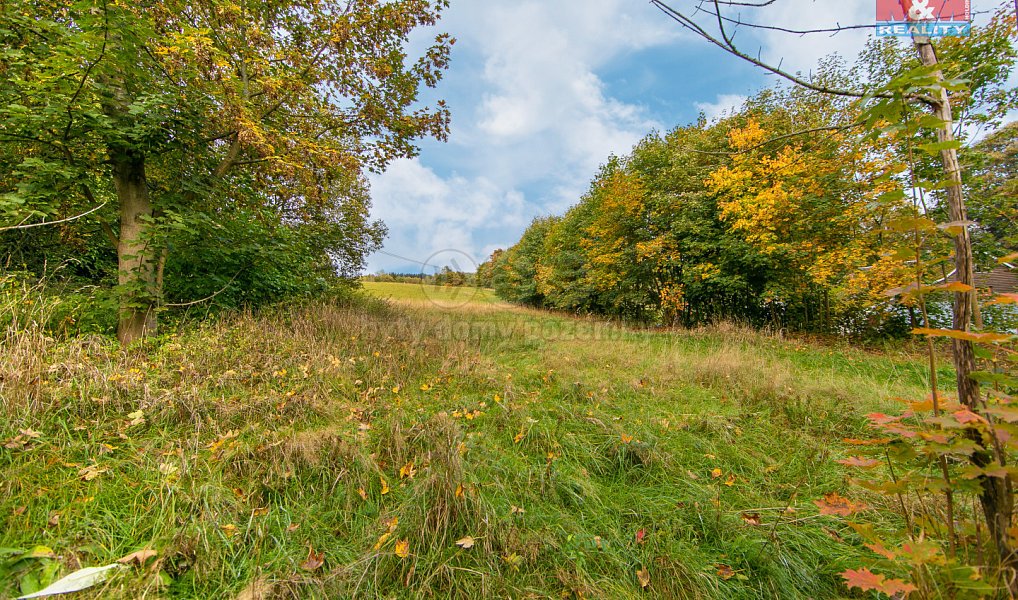 Prodej stavebního pozemku 1 078 m², Kraslice – náhled fotky 8