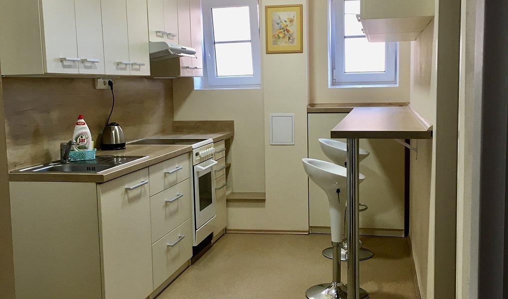 Prodej domu 400 m² s pozemkem 996 m², Český Krumlov – náhled fotky 23