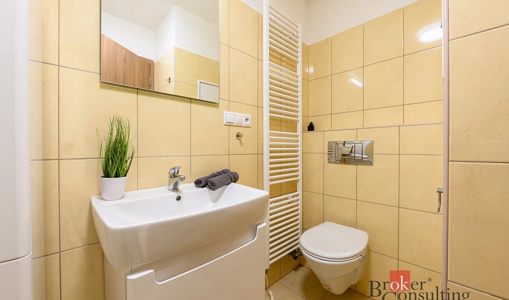 Pronájem bytu 2+kk 59 m², Plzeň – náhled fotky 8