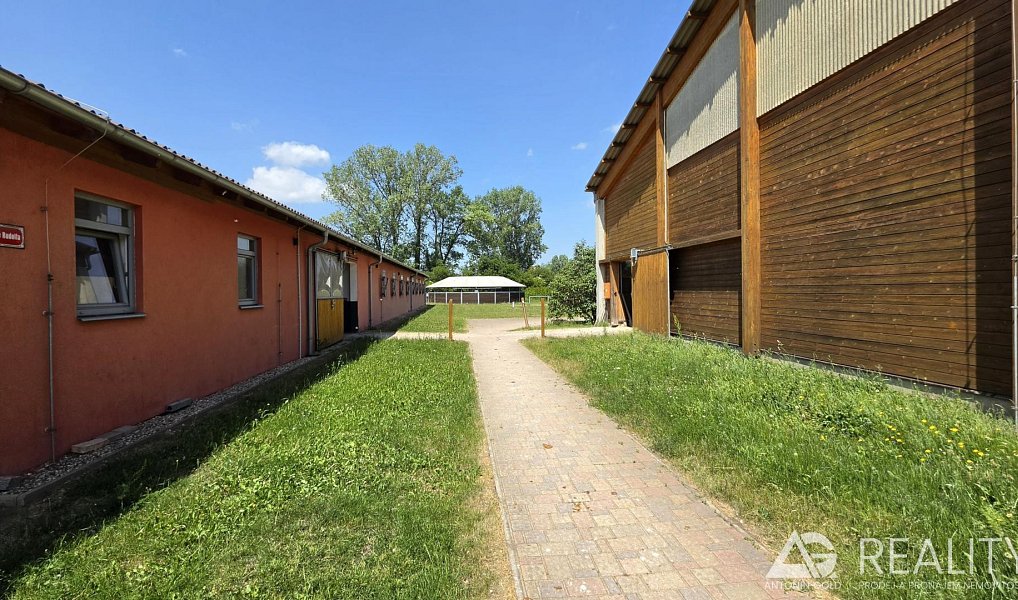 Prodej zemědělského objektu 5 128 m², Úžice – náhled fotky 6
