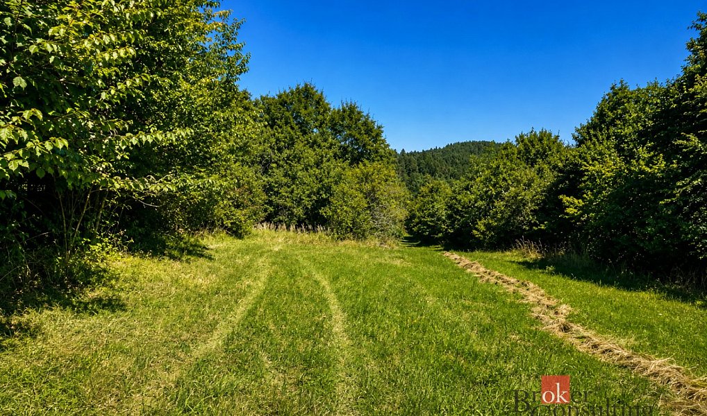 Prodej louky 3 075 m², Borotín – náhled fotky 3