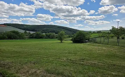 Prodej stavebního pozemku 3 311 m², Snovídky, okres Vyškov