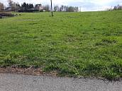 Prodej louky 1335m2