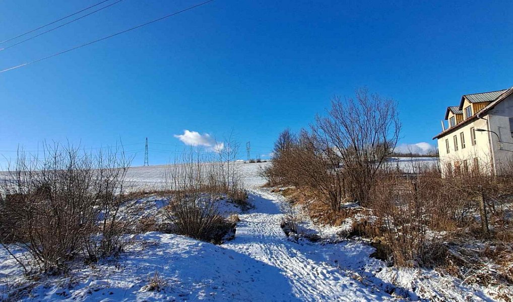 Prodej výrobních prostor 500 m², Ryžoviště – náhled fotky 4