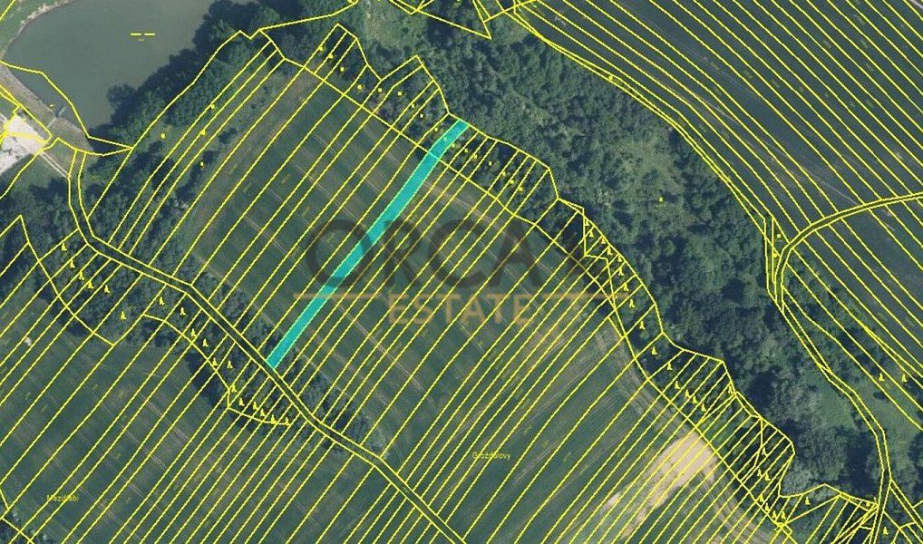 Prodej pole 6 356 m², Mistřice – náhled fotky 2