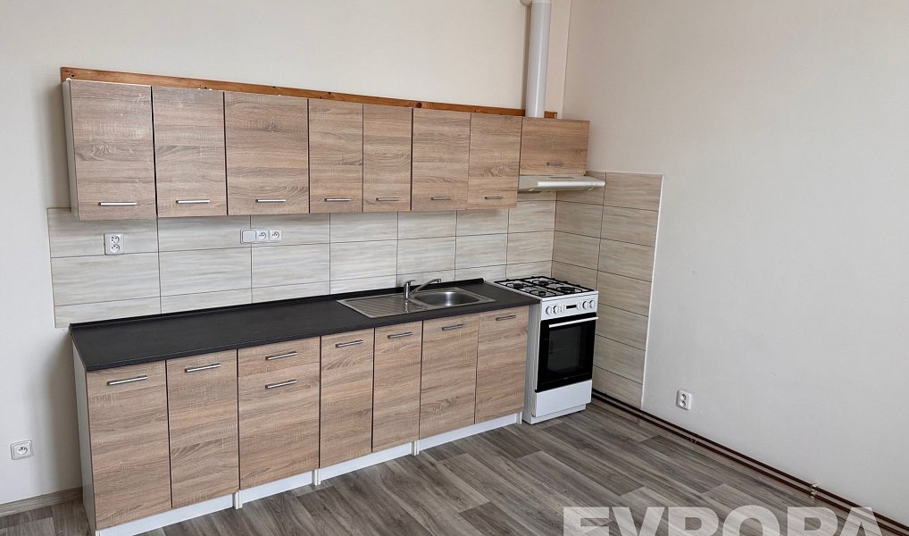 Pronájem bytu 3+kk 61 m², Liberec – náhled fotky 4