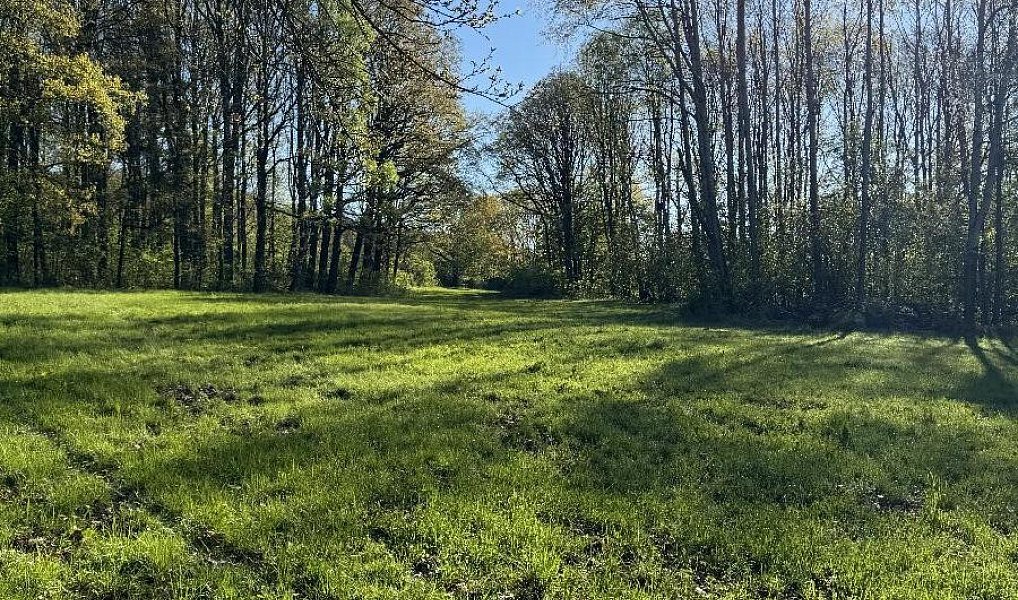 Prodej pozemku 20 250 m², Nýřany – náhled fotky 7