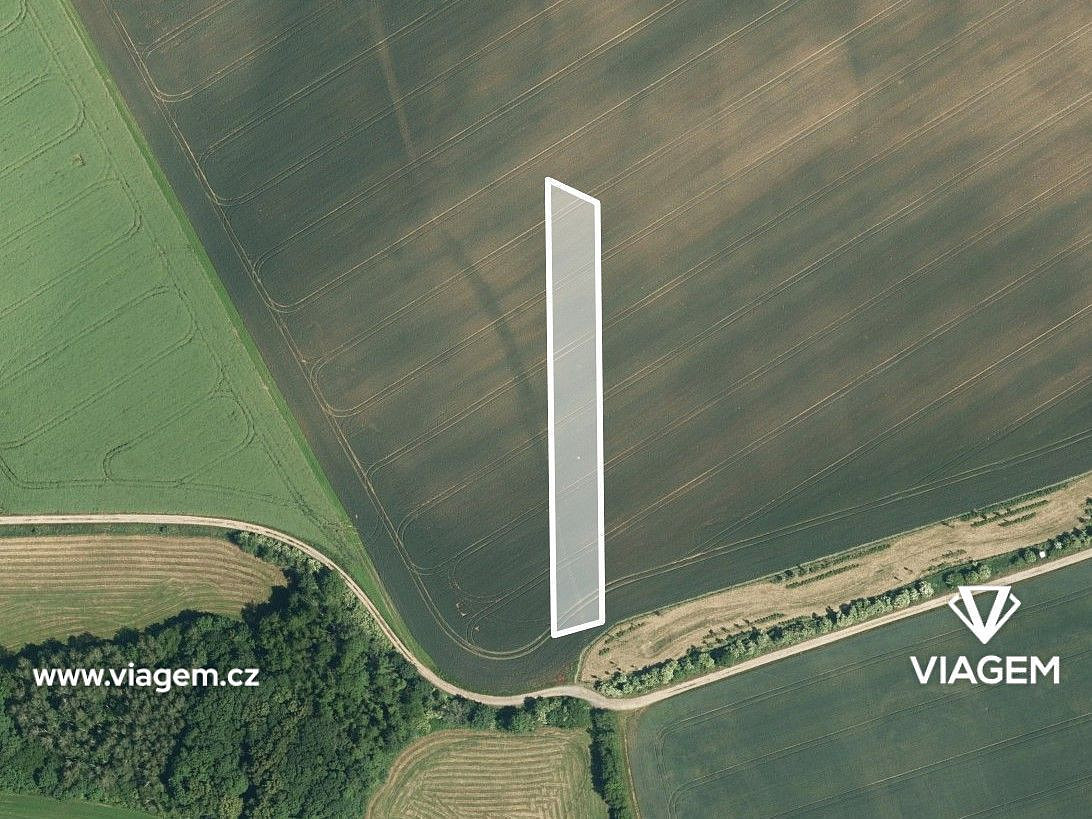 Pole 2 541 m², Podíl 54 % o výměře 1 376 m² – pohled 2