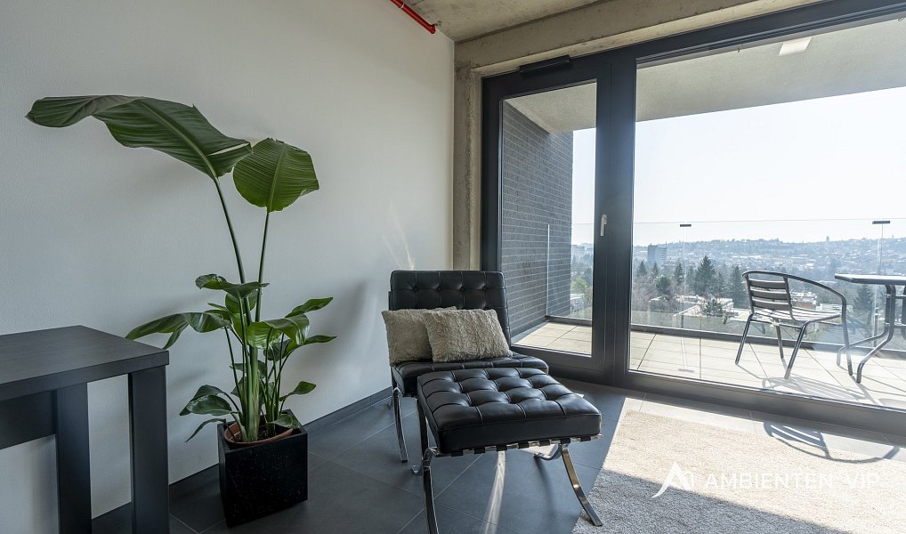 Pronájem bytu 1+kk 35 m², Brno – náhled fotky 12