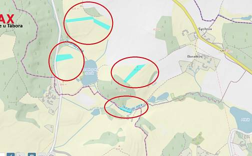 Prodej pole 21 396 m², Borotín, okres Tábor