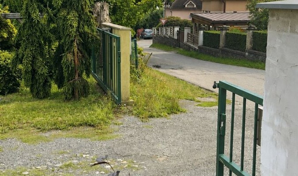 Prodej obchodních prostor 556 m², Hlinsko – náhled fotky 23