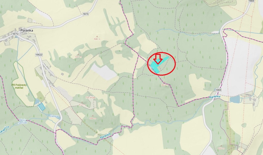 Prodej lesa 1 401 m², Nýřany – náhled fotky 11