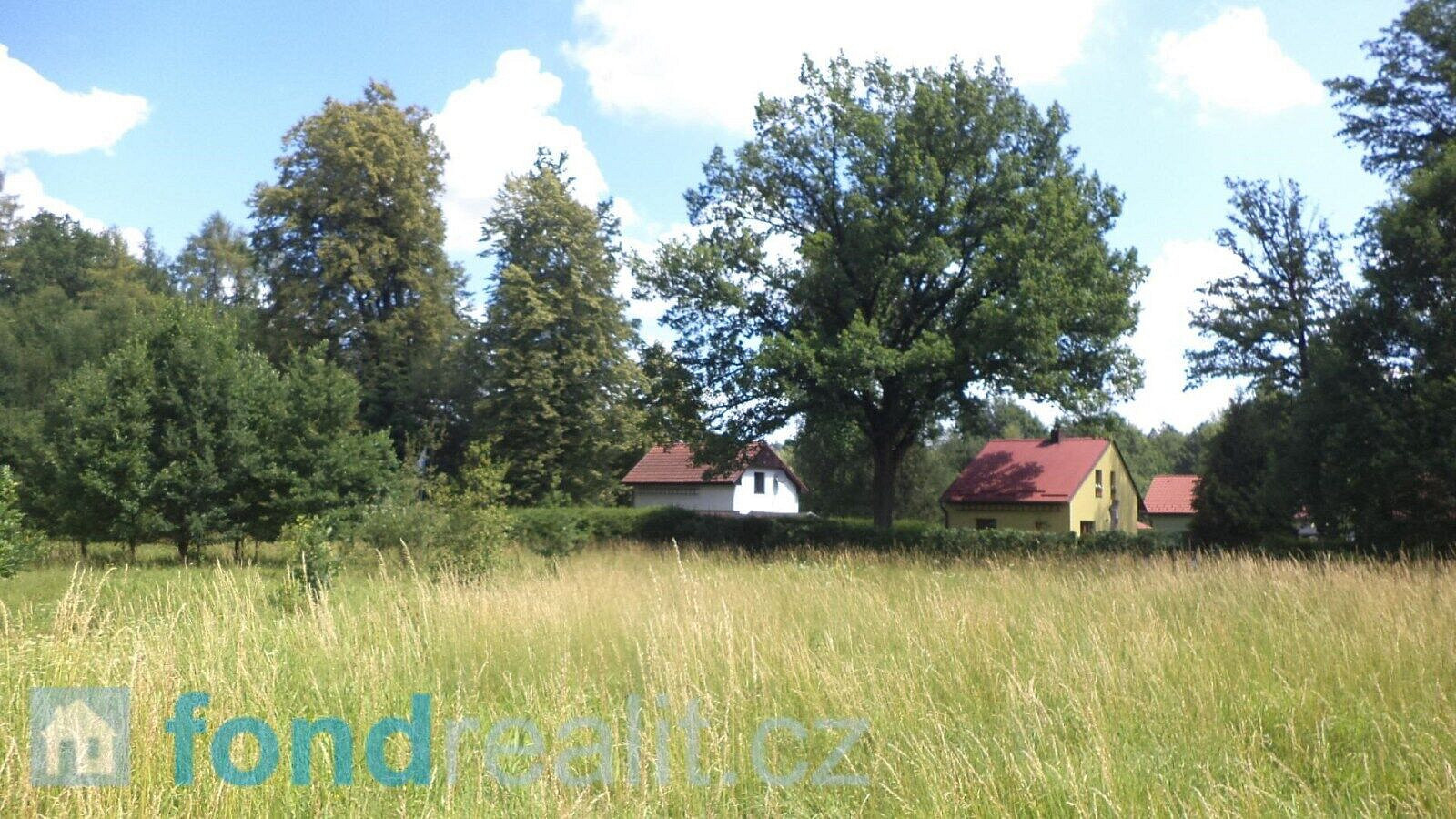 Prodej pozemku 12 879 m² – fotografie 5