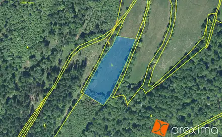 Prodej lesa 1 293 m², Jindřichov, okres Bruntál