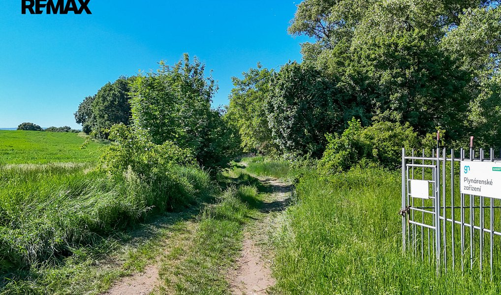 Prodej lesa 5 841 m², Skršín – náhled fotky 27