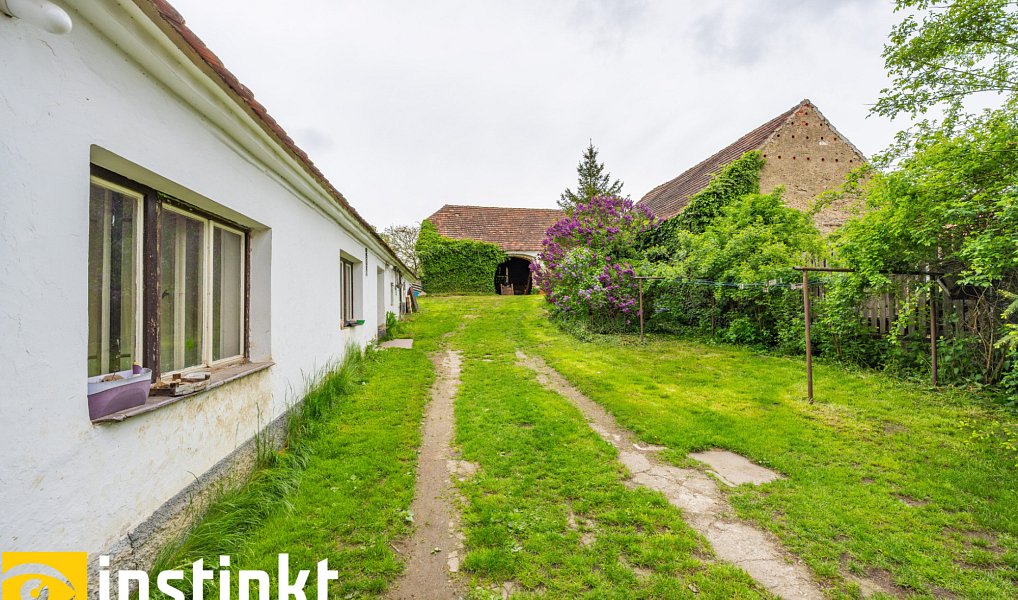 Prodej domu 192 m² s pozemkem 3 008 m², Předotice – náhled fotky 14