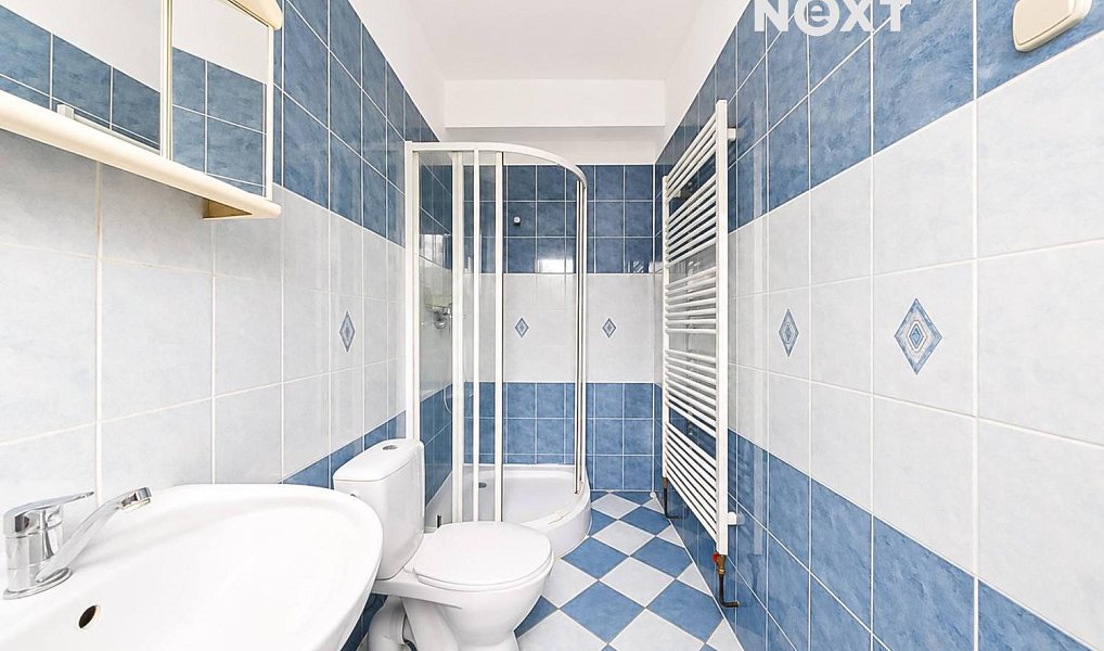 Prodej domu 140 m² s pozemkem 401 m², Držovice – náhled fotky 6