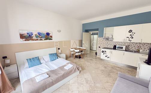 Pronájem bytu 1+kk 35 m², Legerova, Praha 2 - Nové Město