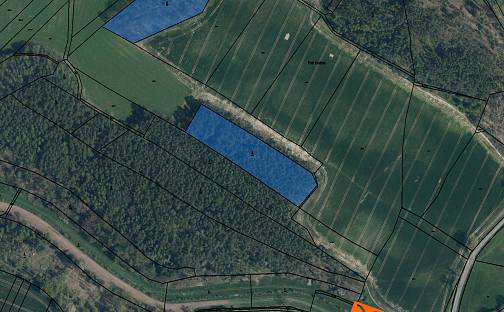 Prodej lesa 7 218 m², Bělá pod Bezdězem, okres Mladá Boleslav