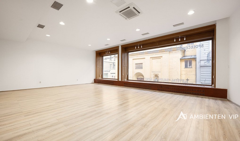 Prodej obchodních prostor 494 m², Brno – náhled fotky 32