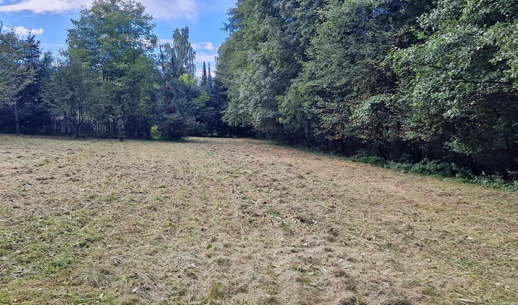 Prodej stavebního pozemku 1 832 m², Zbraslavice – náhled fotky 4