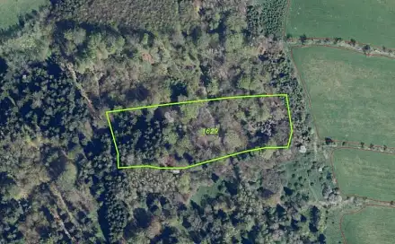 Dražba louky 14 239 m², Petrovice