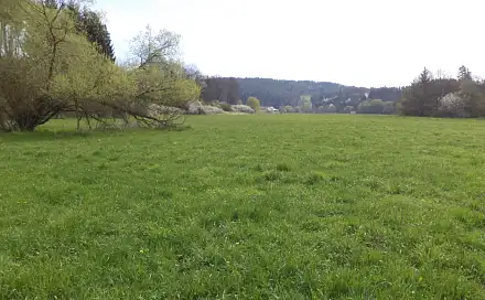 Prodej pozemku 4 036 m², Dešná - Dančovice, okres Jindřichův Hradec