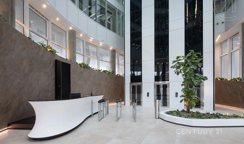 Pronájem kanceláře 454 m², Praha – náhled fotky 3