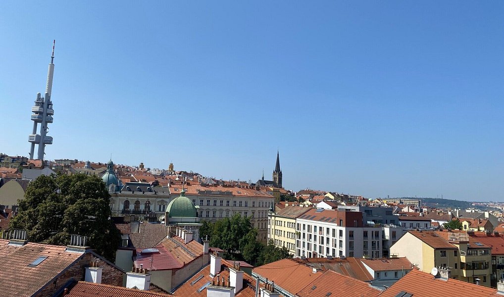 Pronájem bytu 4+kk 120 m², Praha – náhled fotky 4