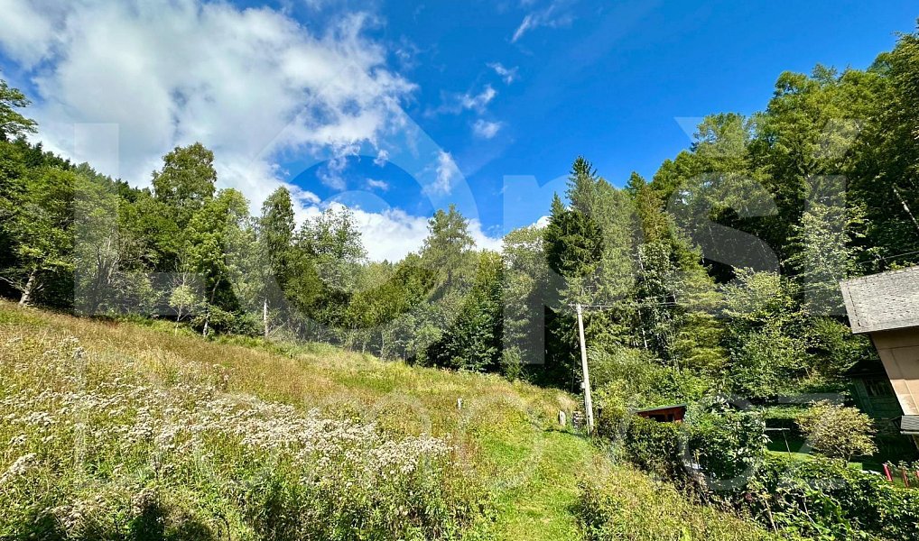 Prodej stavebního pozemku 1 379 m², Lipová-lázně – náhled fotky 5
