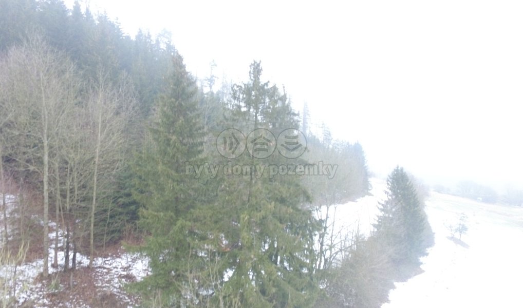 Prodej lesa 89 634 m², Řetová – náhled fotky 3