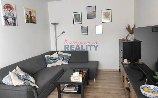 Prodej bytu 2+1 54 m², České Budějovice