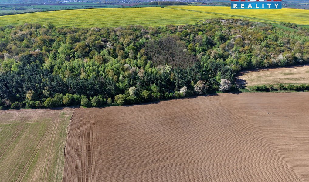 Prodej lesa 5 857 m², Kounice – náhled fotky 3