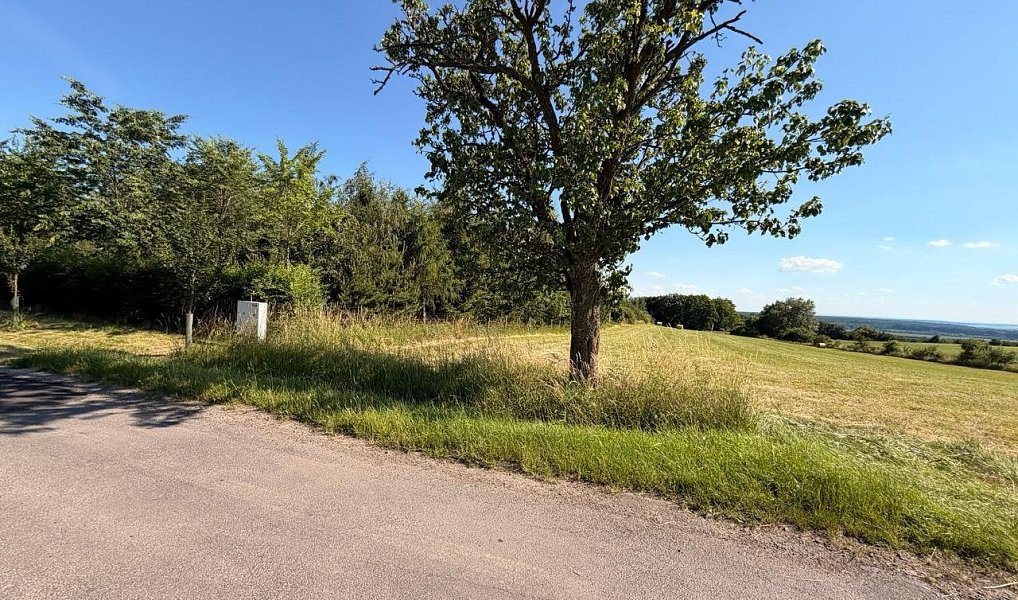 Prodej stavebního pozemku 5 584 m², Kobylnice – náhled fotky 6