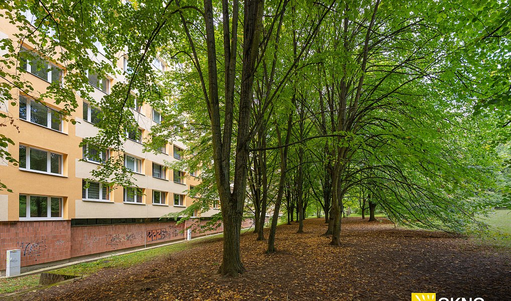 Prodej bytu 3+1 72 m², Brno – náhled fotky 11