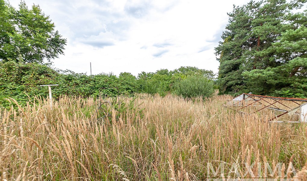 Prodej stavebního pozemku 3 823 m², Dolní Beřkovice – náhled fotky 10
