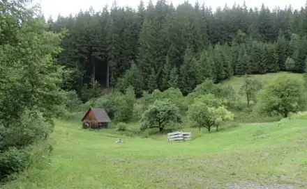 Dražba louky 24 946 m², Velké Karlovice