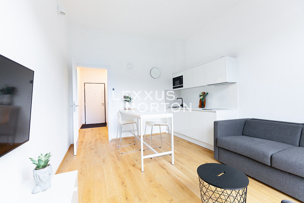 Pronájem bytu 1+kk 31 m² – pohled 3