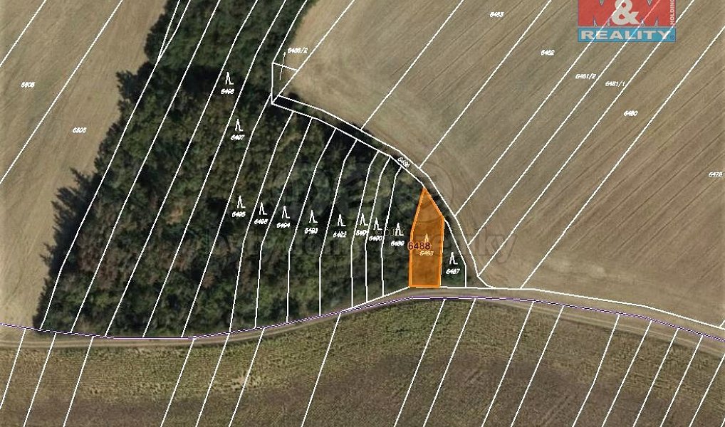 Prodej lesa 320 m², Ořechov – náhled fotky 4