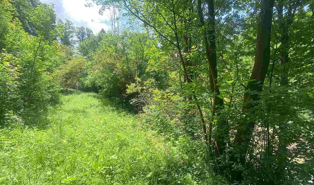 Prodej pozemku 933 m², Malá Bystřice – náhled fotky 3