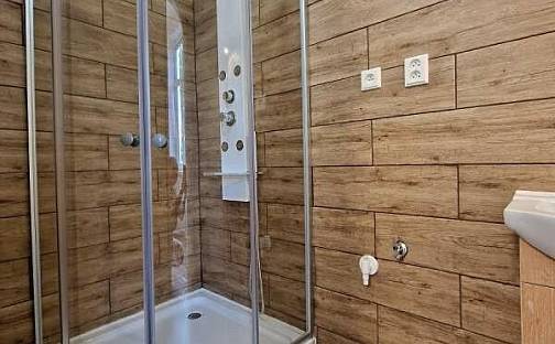 Pronájem bytu 1+1 39 m², Mariánskohorská, Ostrava - Mariánské Hory