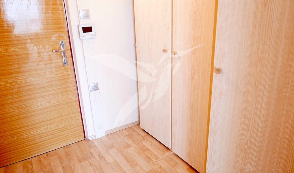 Pronájem bytu 1+kk 31 m², Plzeň – náhled fotky 5