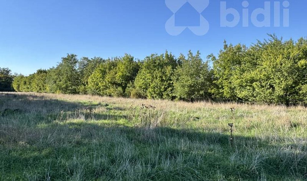 Prodej stavebního pozemku 1 756 m², Ivančice – náhled fotky 3