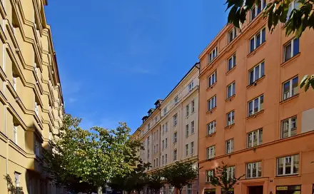 Pronájem bytu 1+1 66 m², Přemyslovská, Praha 3 - Žižkov