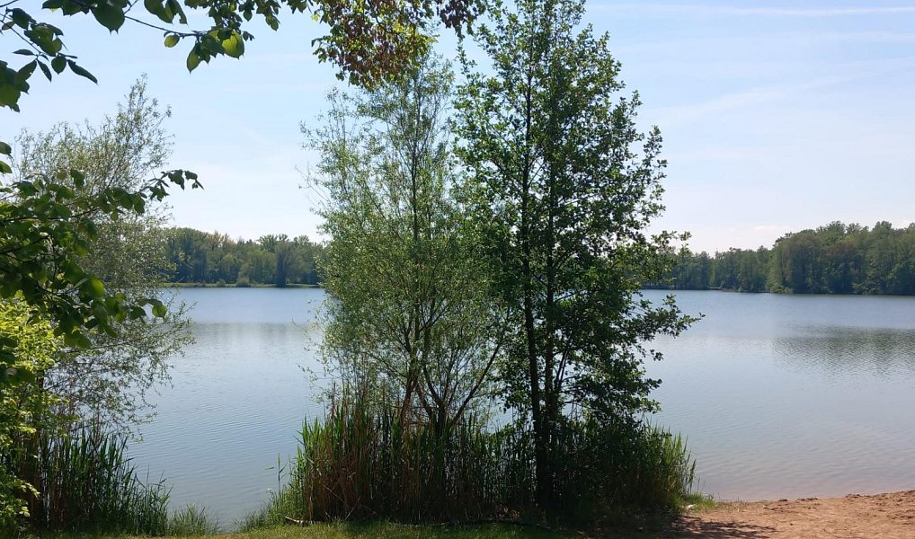 Prodej chaty/chalupy 36 m² s pozemkem 371 m², Sadská – náhled fotky 13