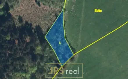 Prodej lesa 1 985 m², Liberk, okres Rychnov nad Kněžnou