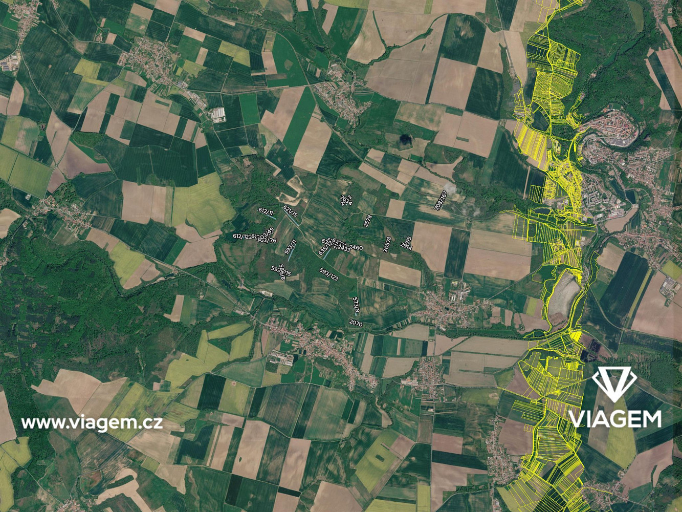 Prodej lesa 2 697 m² — photo 4