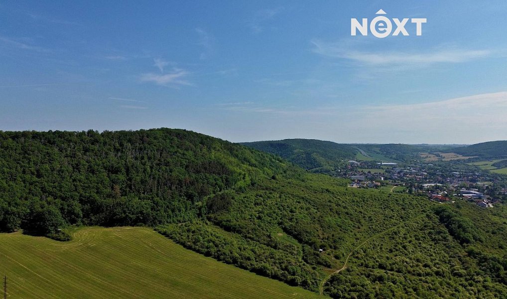 Prodej lesa 3 149 m², Chrustenice – náhled fotky 14